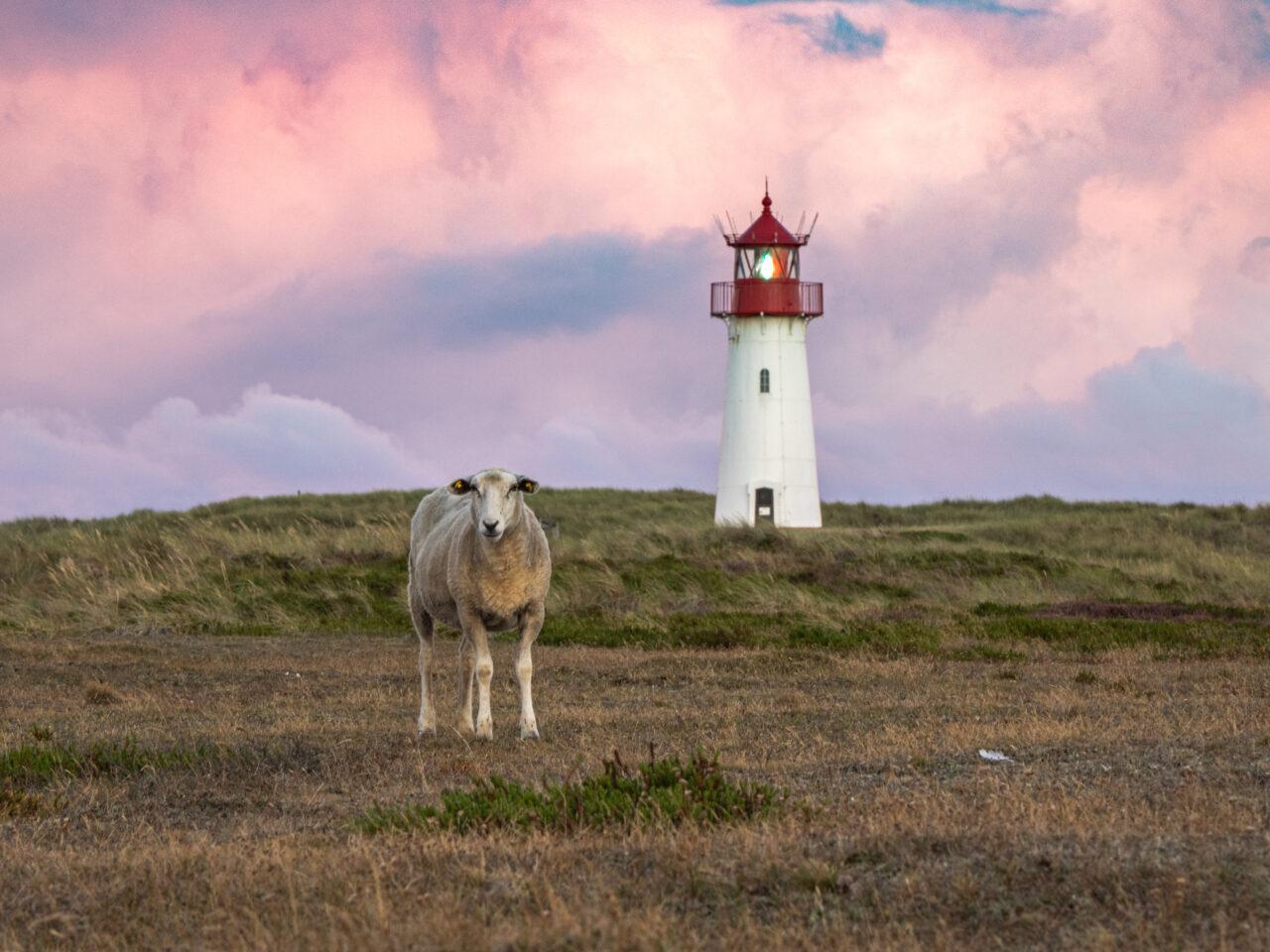 Lighthouse Sylt-West